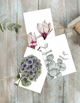 “Botanicals” Boxed Set Of Eight Notecards Plastic Free, 2 of 4