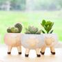 Glazed Sheep Plant Pot With Choice Of Plant, thumbnail 2 of 2