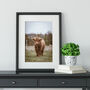 Highland Cow Photography Print Two, thumbnail 1 of 2
