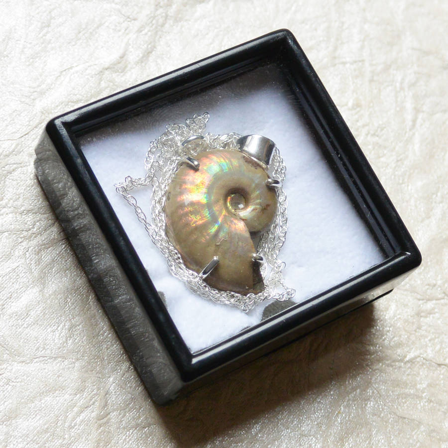 Pearlised Madagascan Ammonite Necklace 