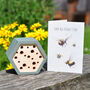 Father's Day Bee House Gift Set, thumbnail 2 of 6