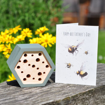 Father's Day Bee House Gift Set, 2 of 6