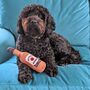 Vodka, Bourbon And Tequila Bottle Soft Dog Toy, thumbnail 6 of 6