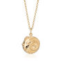 Personalised Gold Plated Aries Zodiac Necklace, thumbnail 6 of 7
