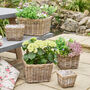 Mitchell Boho Rattan Planter, thumbnail 1 of 4