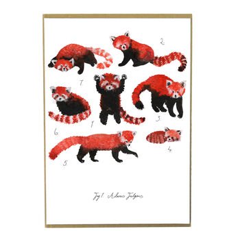 Pack Of Red Pandas A4 Art Print, 4 of 7