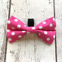 Pink Spotty Dog Collar, thumbnail 5 of 5