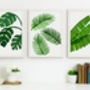 Leafy Green Tropical Botanical Prints Triptych, thumbnail 1 of 4