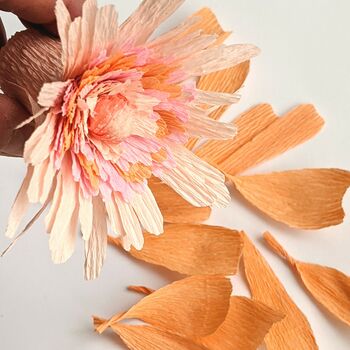 Blush Crepe Paper Flower Craft Kit, 4 of 7