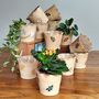 Floral Birthstone Colour Ceramic Handmade Plant Pot, thumbnail 6 of 9