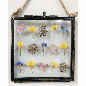 Mixed Pressed Flower Frame, 6 of 11