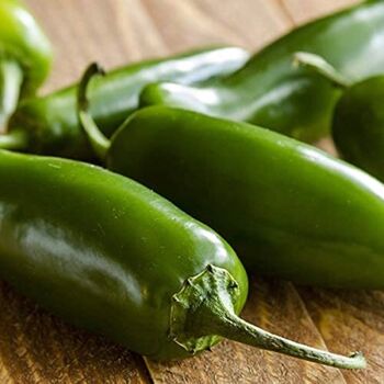 Chilli Plants 'Giant Jalapeno' Two X Plant 9cm Pot, 2 of 7