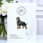 Origami Rottweiler Dog Hard Enamel Pin Brooch, Gifts For Dog Lovers, thumbnail 1 of 8