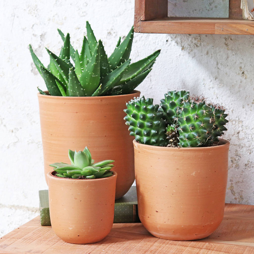 Curved Terracotta Plant Pot, 1 of 4