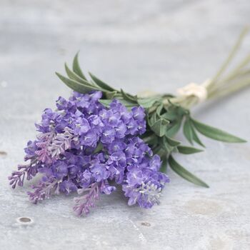 Lavender In Bell Vase, 4 of 4