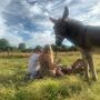 Meet The Donkeys Experience With Picnic For Two, thumbnail 7 of 9