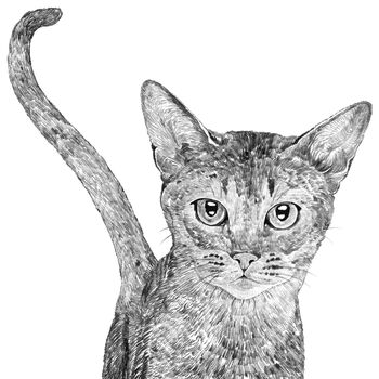 Siamese Cat Print, 3 of 3