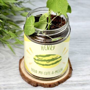 Personalised Mini Melon Jar Grow Kit, 6 of 9