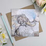 'The Endangered Set' Mixed Pack Of Ten Greeting Cards, thumbnail 9 of 10