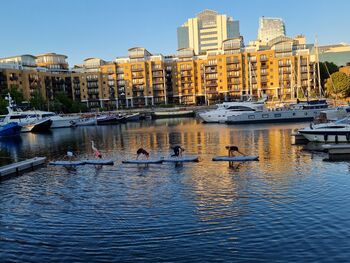 Paddle Boarding Yoga For One, 12 of 12