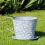 Tea Cup Flower Planter Gift, thumbnail 4 of 8