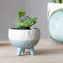 Gerald Planters, thumbnail 1 of 4