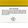 Sterling Silver Keepsake Birthday Card, thumbnail 6 of 8