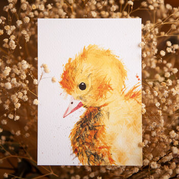 Inky Duckling Easter Luxury Postcards, 6 of 8