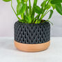 Carbon Ananas Planter, thumbnail 1 of 4