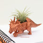 Hand Painted Copper Dinosaur Planter With Plant, thumbnail 5 of 5
