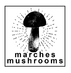 Marches Mushrooms logo