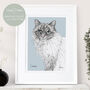 Personalised Hand Drawn Pet Cat Portrait, thumbnail 1 of 12
