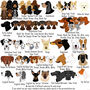 Personalised Dog Bowl Illustrated, thumbnail 6 of 9