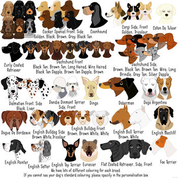 Personalised Dog Bowl Illustrated, 6 of 9