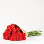 Red Carnations Fresh Flower Bouquet, thumbnail 3 of 3