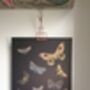 Moths Riso Art Print By Peski Studio, thumbnail 2 of 4