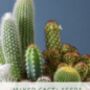 Percy Pricklebum. Grow Your Own Cacti Kit, Gardening Gift, thumbnail 3 of 5