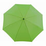 Grass Eco Friendly Umbrella, thumbnail 3 of 5
