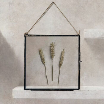 Trio Of Vintage Pressed Flower Frames Natural Wheat, 2 of 11