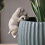 Labrador Dog Pot Hanger, thumbnail 3 of 3