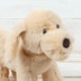 Golden Puppy Dog With Personalised Keepsake, thumbnail 4 of 5