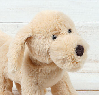 Golden Puppy Dog With Personalised Keepsake, 4 of 5