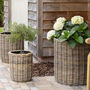 Round Rattan Planter With Curved Base, thumbnail 2 of 4