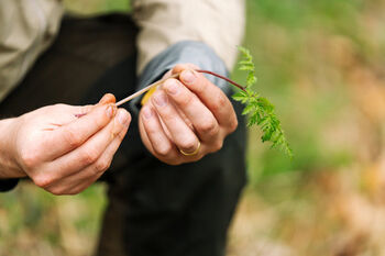 Forage And Feast Experience In The Northwest, 6 of 12