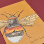 Handmade Greeting Card Bumblebee, Recycled Card, thumbnail 4 of 7