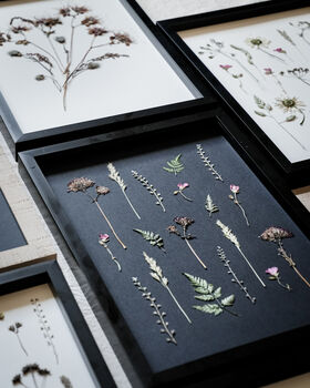 Original Pressed Flower Frame – A3 Echo Bloom Botanical Wall Art, 6 of 7