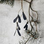 Black Mistletoe Sprig With White Berries, thumbnail 1 of 3