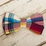 The Marple Red Checked Dog Collar Bow Tie And Lead Set, thumbnail 5 of 6