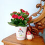 Christmas Puffin Plant Pot. Personalised Flowerpot, thumbnail 3 of 5
