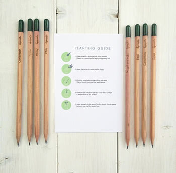 Personalised 'Summer Garden' Notebook And Sprout Pencil, 2 of 2